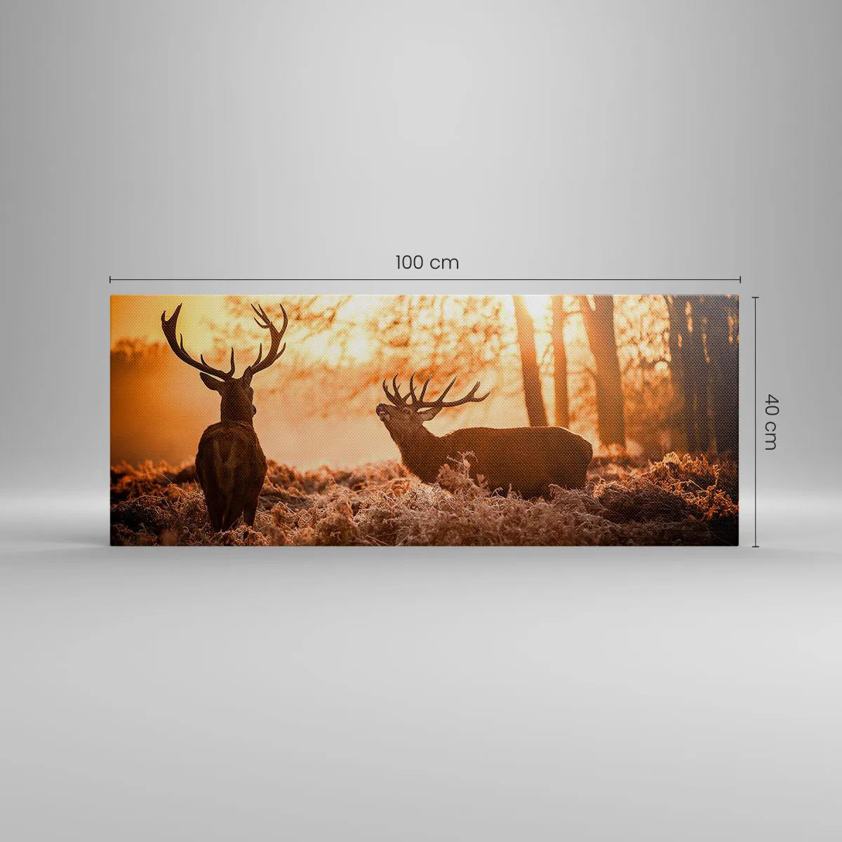 Impression sur toile - Image sur toile - Le rêve d'un chasseur - 100x40 cm