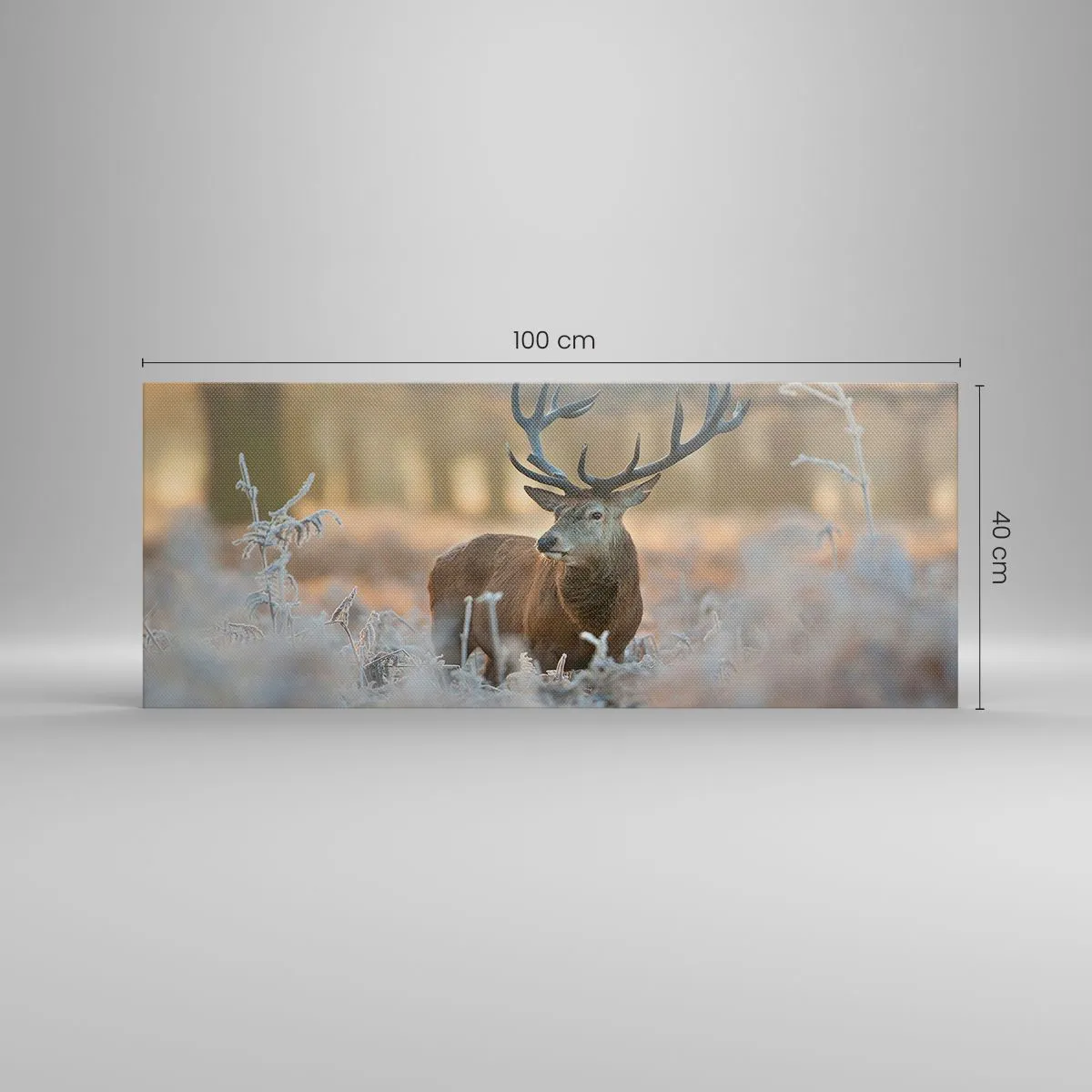 Vászonkép - Friss reggel - 100x40 cm