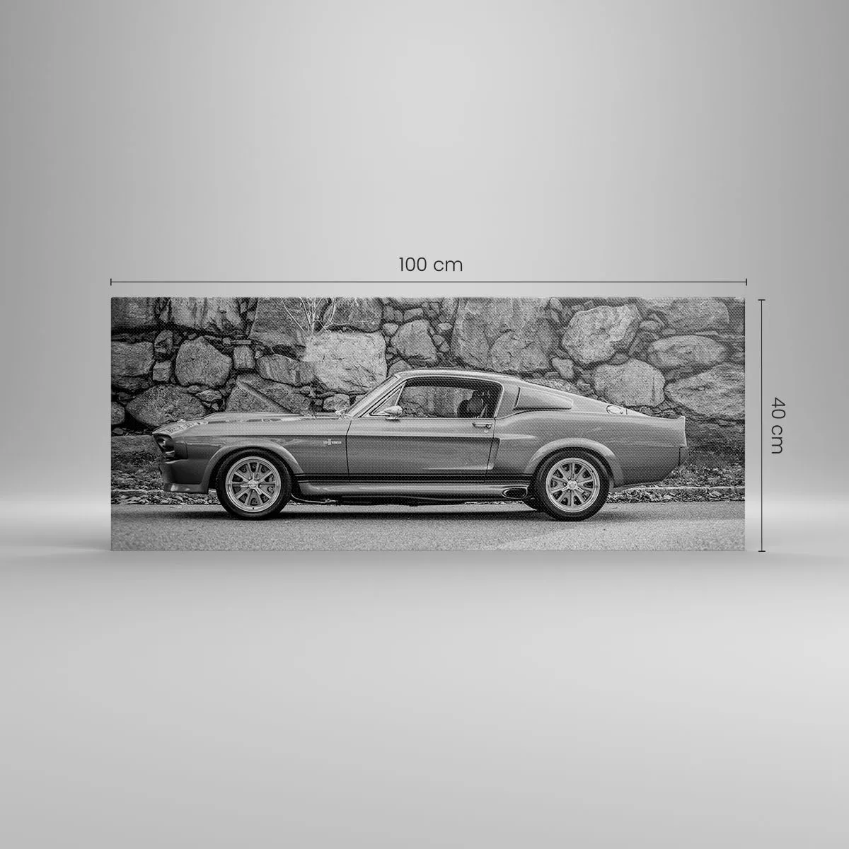 Impression sur toile - Image sur toile - Légende des années 60 - 100x40 cm