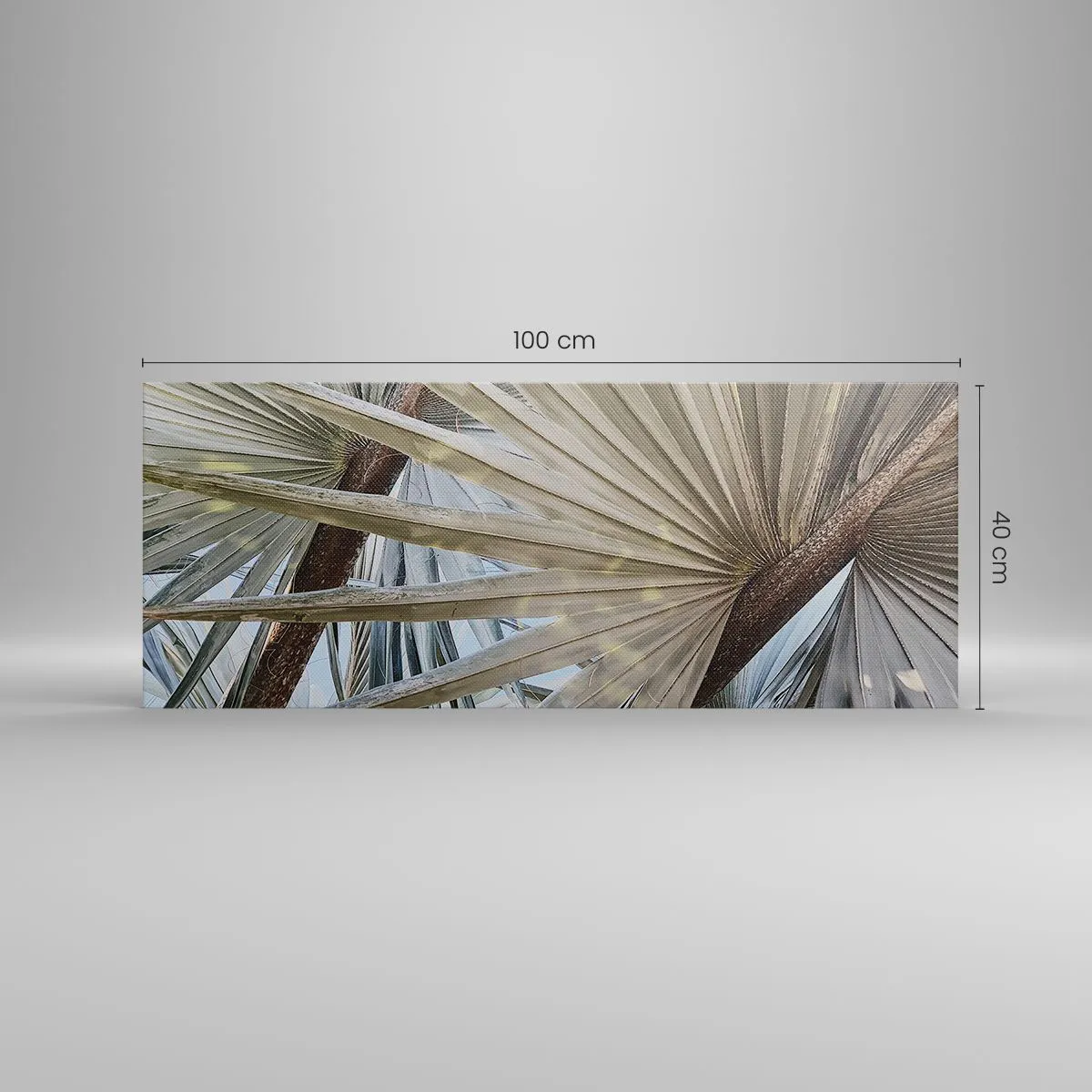 Impression sur toile - Image sur toile - Evantail sous les tropiques - 100x40 cm