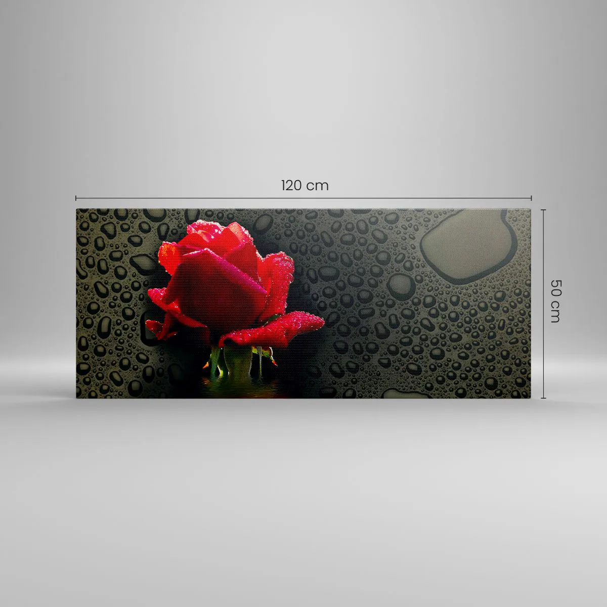 Impression sur toile - Image sur toile - Rose rouge avec des gouttes d'eau sur un fond sombre - 120x50cm - Rouge et noir - Décoration murale moderne pour le salon et la chambre ARTTOR