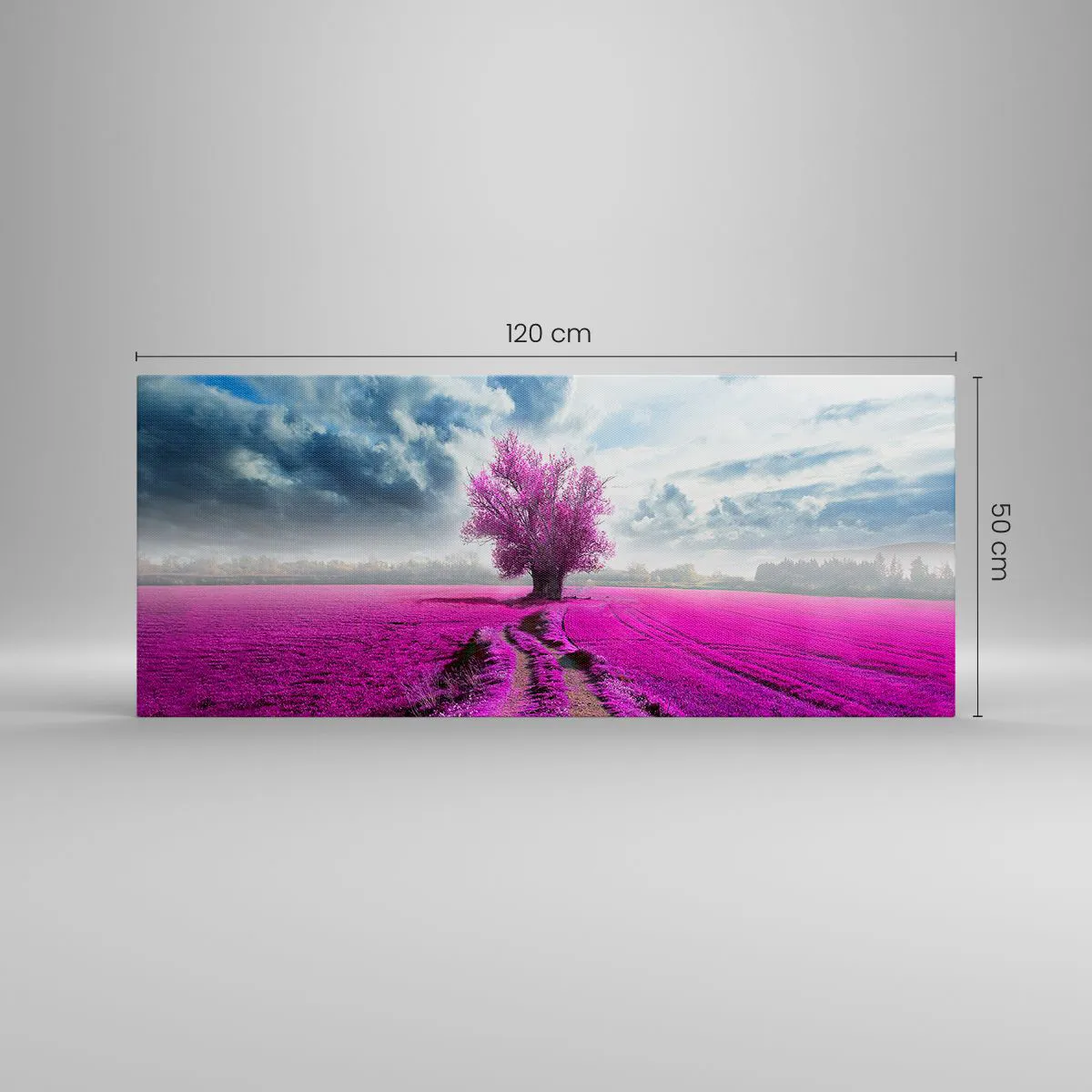 Obraz na plátně - Vřesoviště - divočina - 120x50 cm