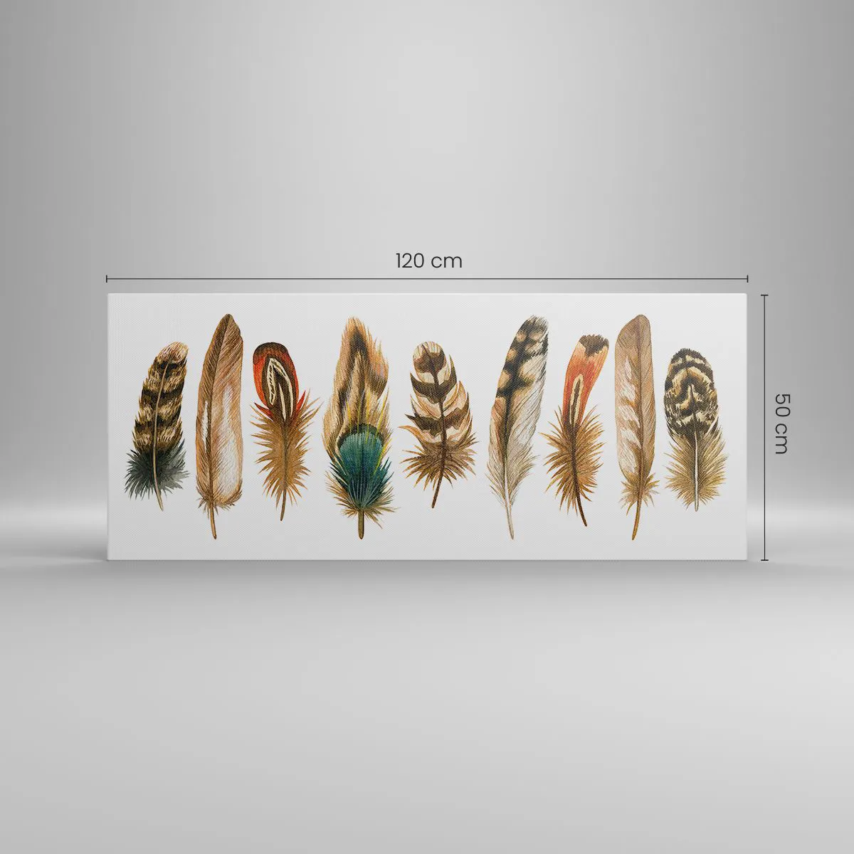 Impression sur toile - Image sur toile - Motif décoratif d'une collection de plumes diverses - 120x50cm - Variation à plumes - Décoration murale moderne pour le salon et la chambre ARTTOR
