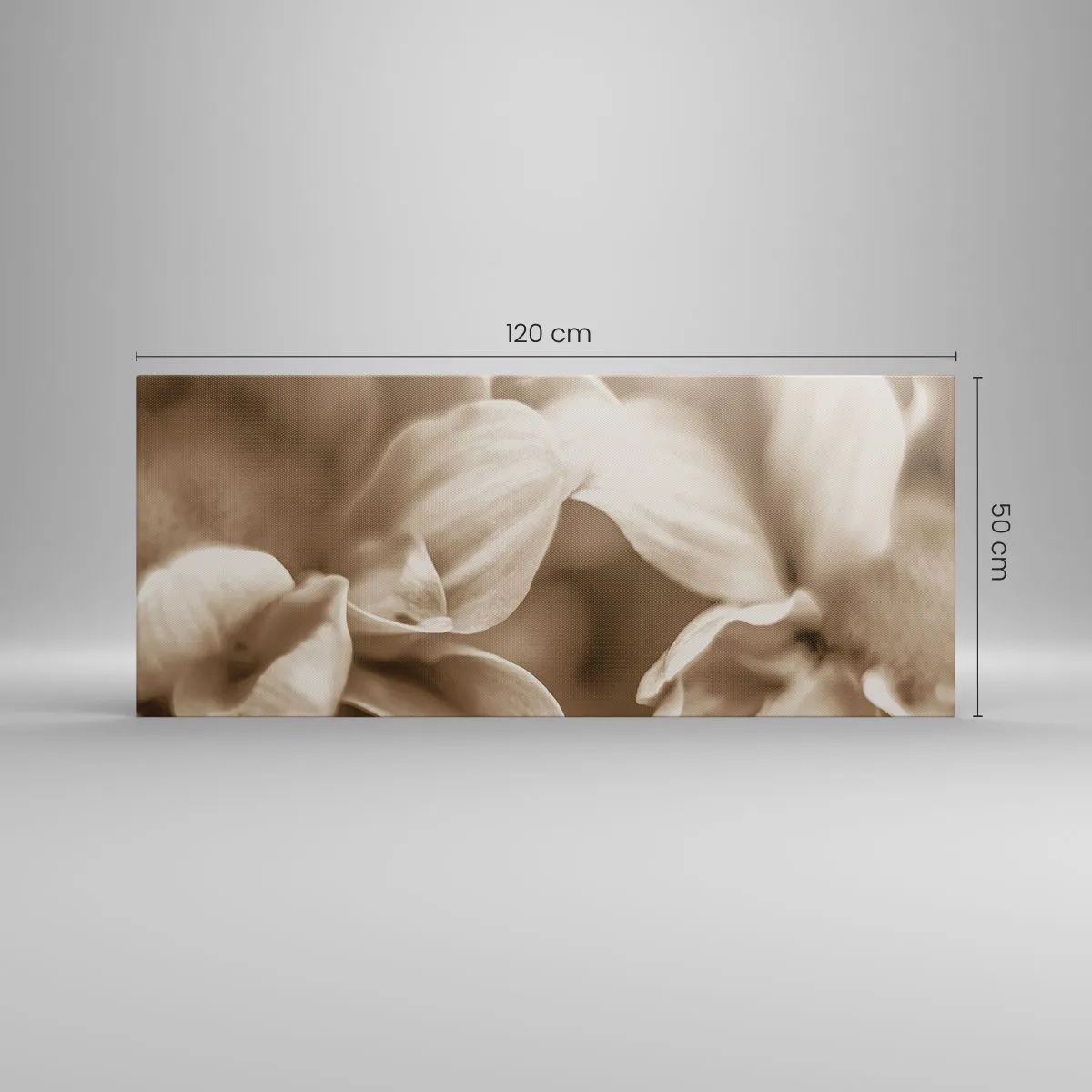 Impression sur toile - Image sur toile - Gros plan de fleurs dans un ton sépia délicat avec des contours doux - 120x50cm - Doux comme un sourire - Décoration murale moderne pour le salon et la chambre ARTTOR