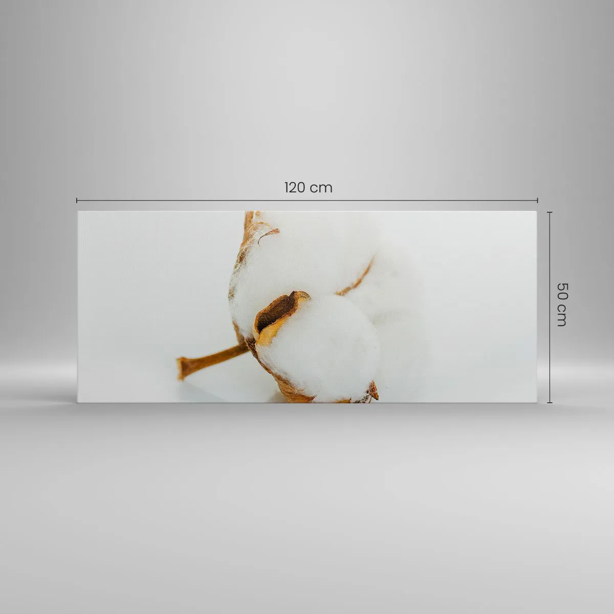 Cuadro sobre lienzo - Impresión de Imagen - Una rama de algodón sobre un fondo claro en un enfoque minimalista. - 120x50cm - Suave por naturaleza - Decoración de pared moderna para salón y dormitorio ARTTOR