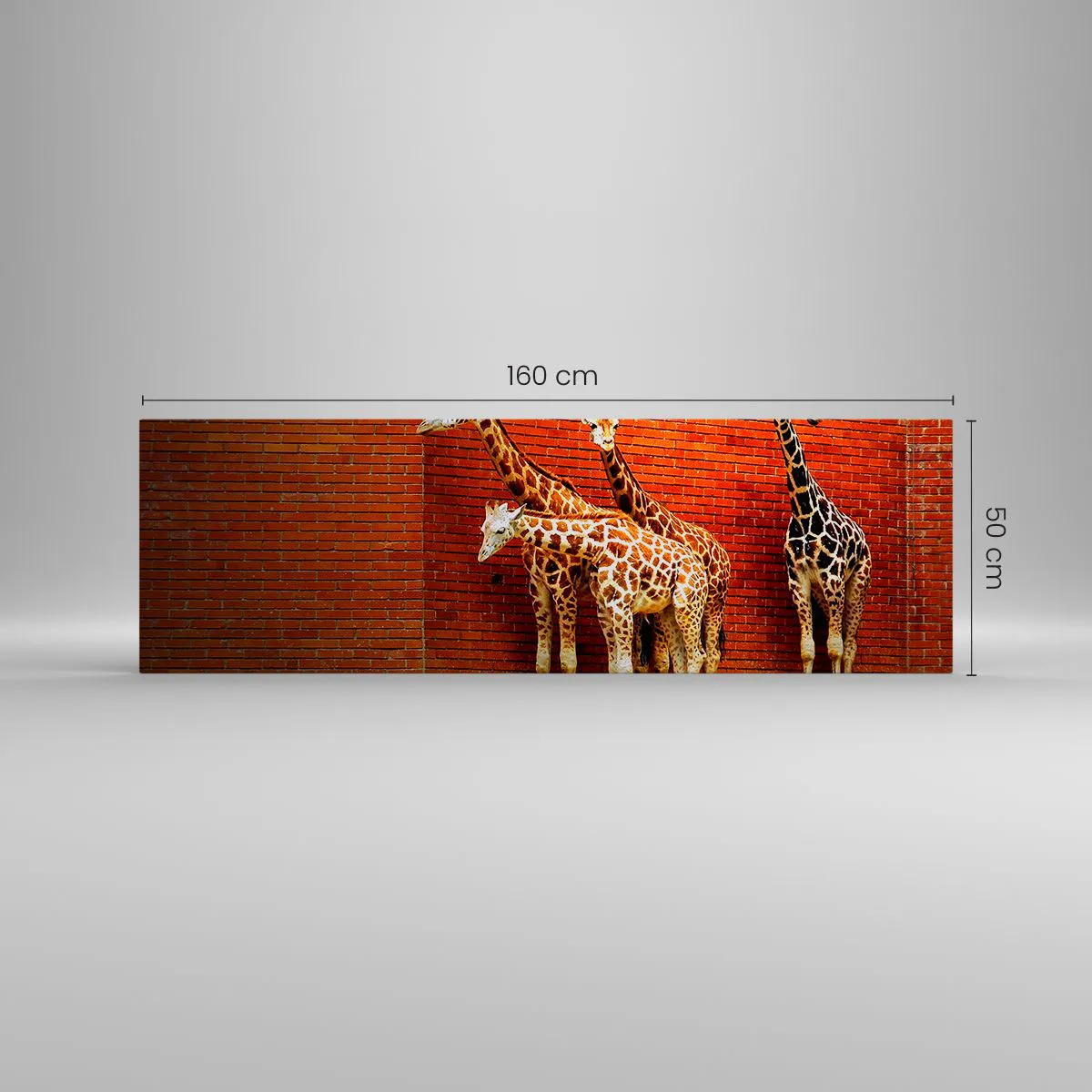 Vászonkép - Láttok akácot? - 160x50 cm