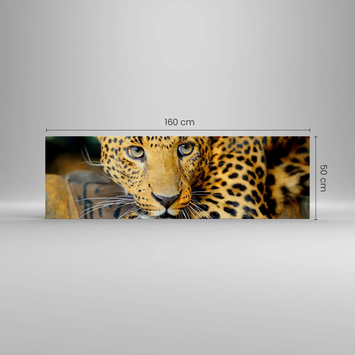 Obraz na płótnie - Portret lamparta w naturalnym otoczeniu - 160x50cm - Nie bój się, podejdź - Nowoczesna dekoracja ścienna do salonu i sypialni ARTTOR