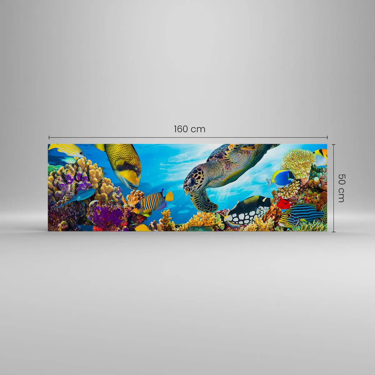 Vászonkép - Korall sétány - 160x50 cm