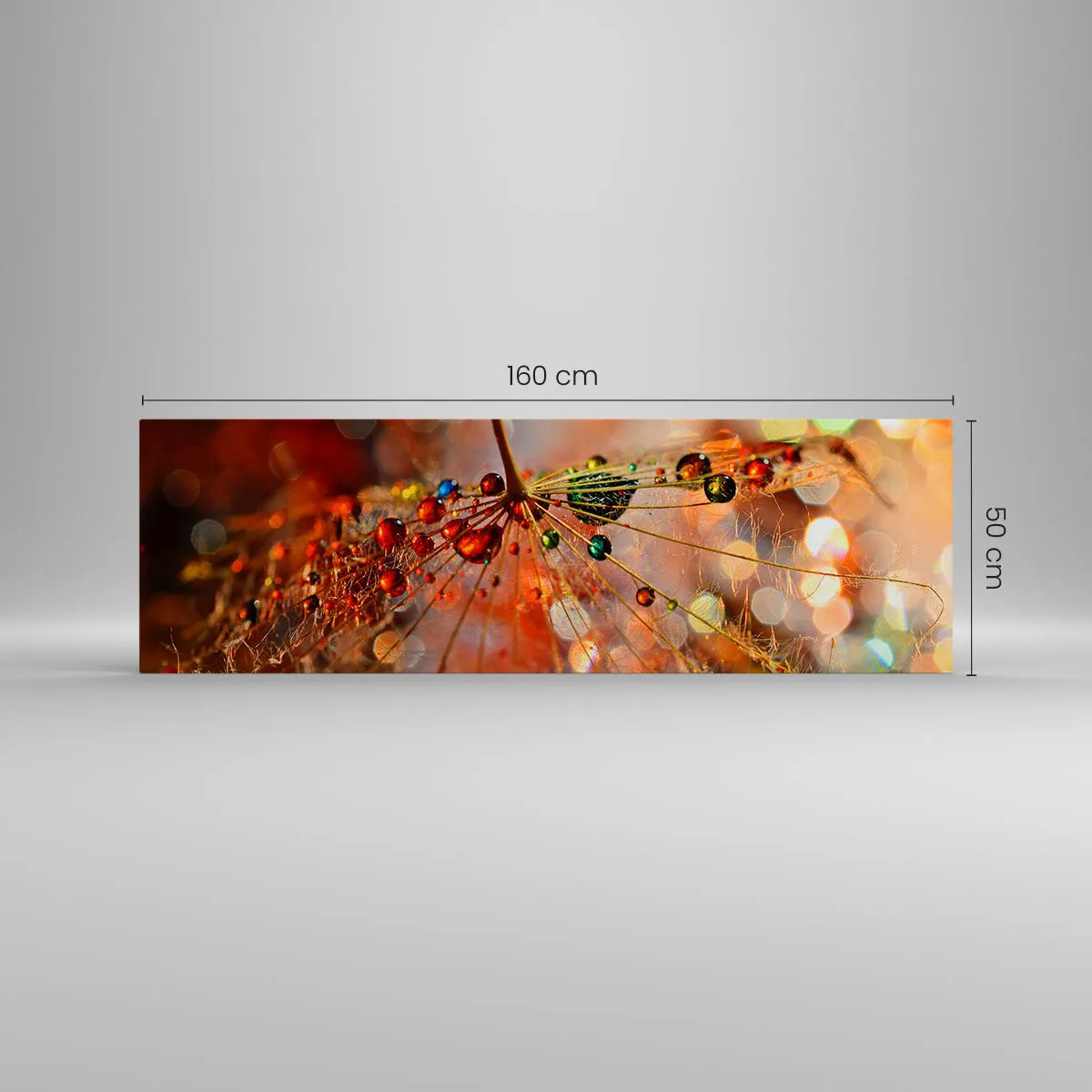 Canvas picture - Strung on a Spider's Web - 160x50 cm