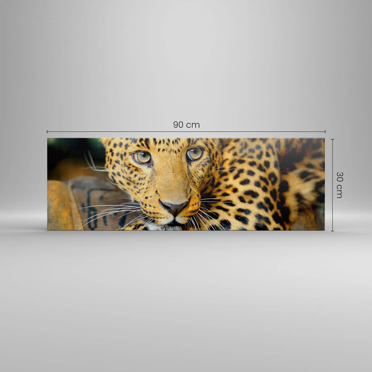 Obraz na płótnie - Nie bój się, podejdź - 90x30 cm