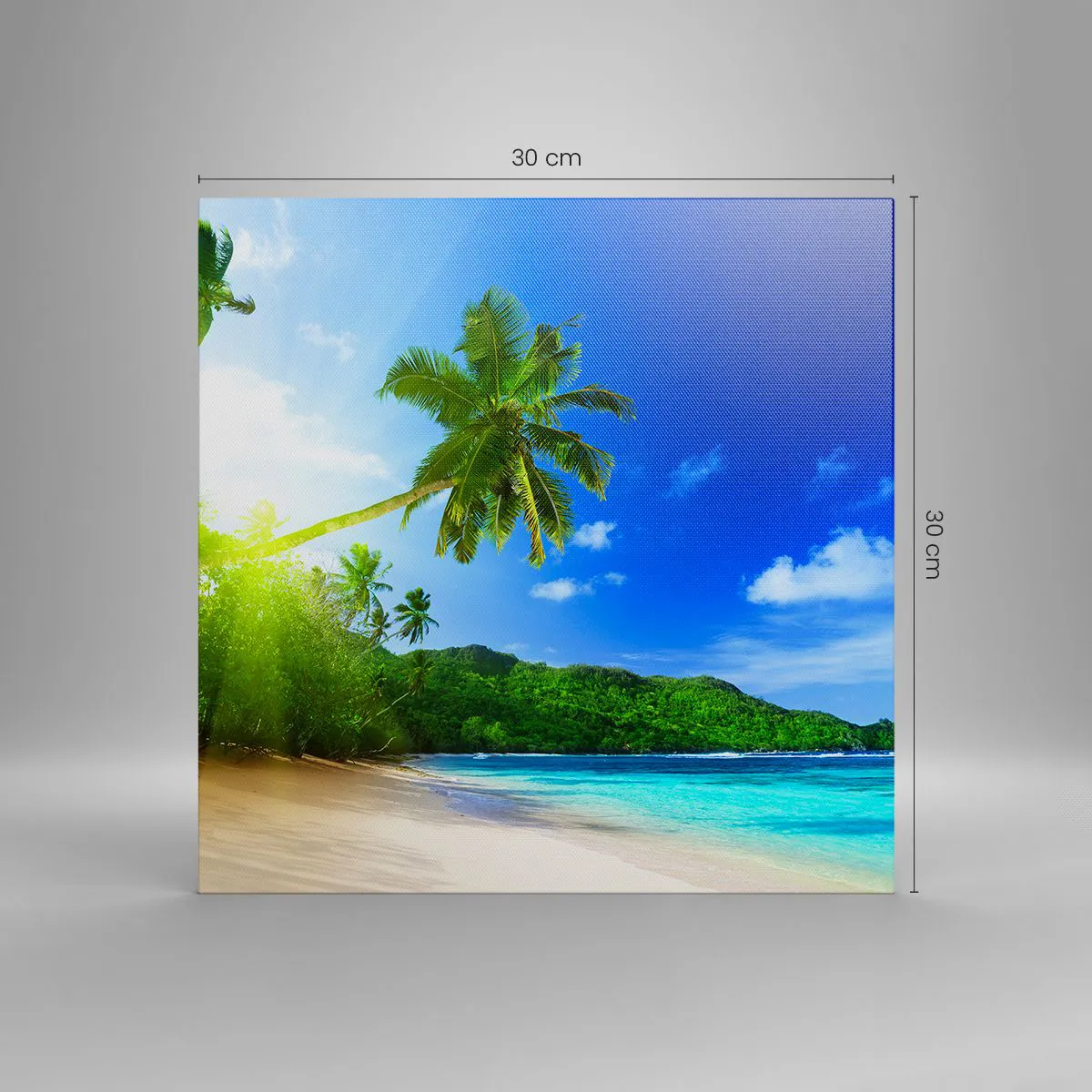 Obraz na płótnie - Łagodny dotyk tropików - 30x30 cm