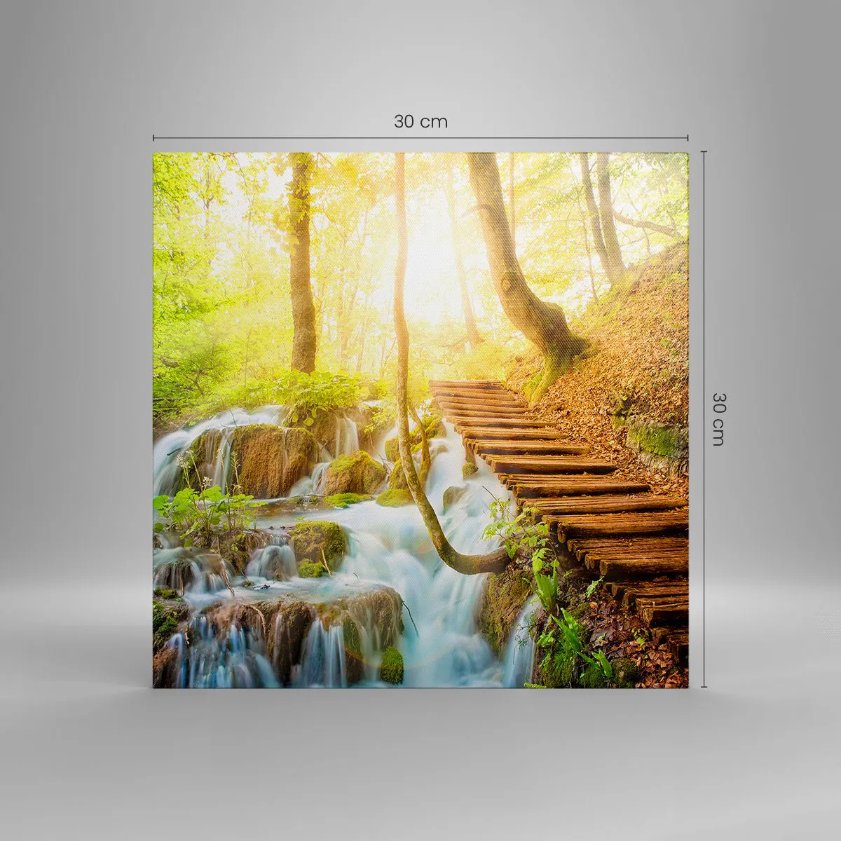 Quadro su tela - Stampe su Tela - Bramata freschezza - 30x30 cm