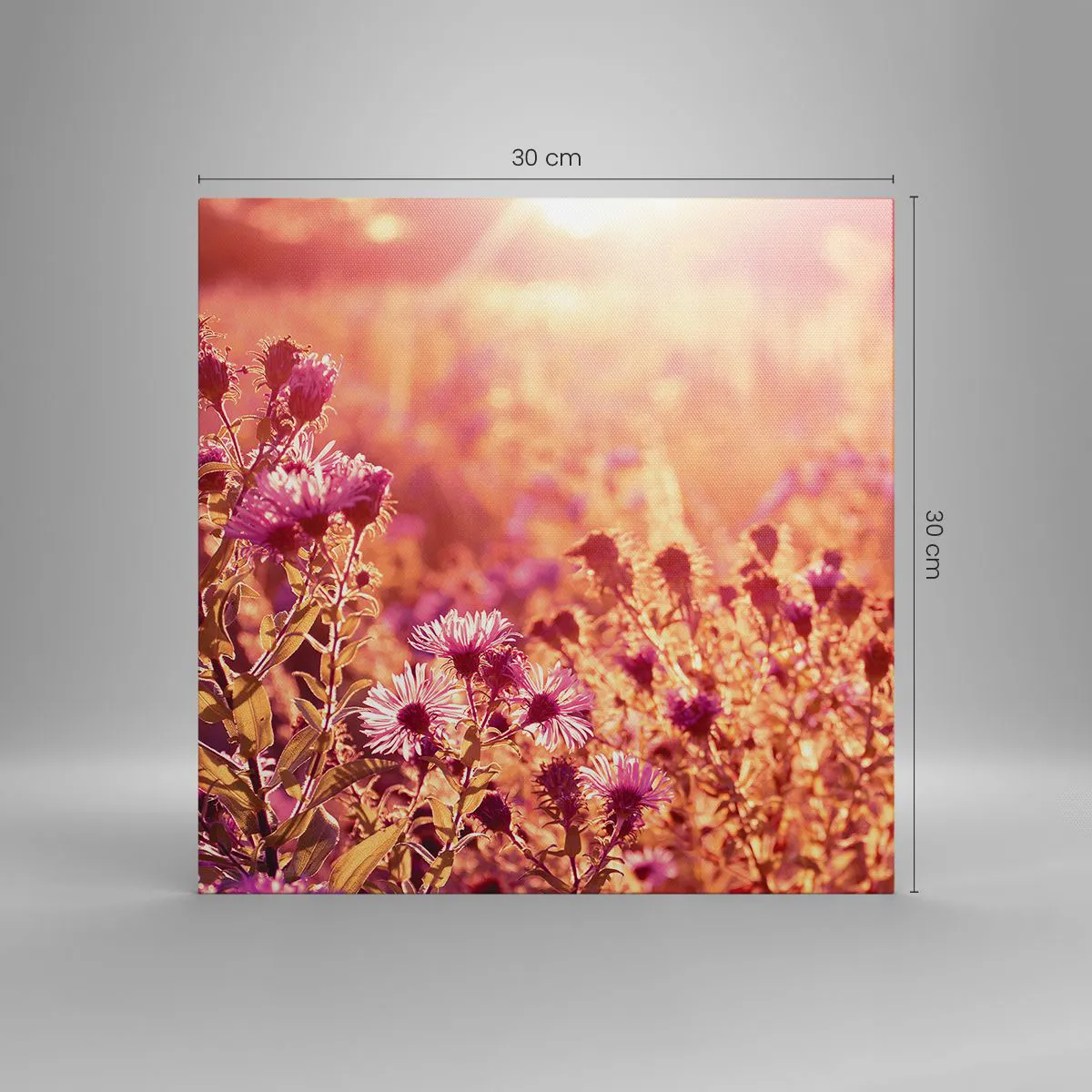 Impression sur toile - Image sur toile - Avant que l'été ne parte - 30x30 cm