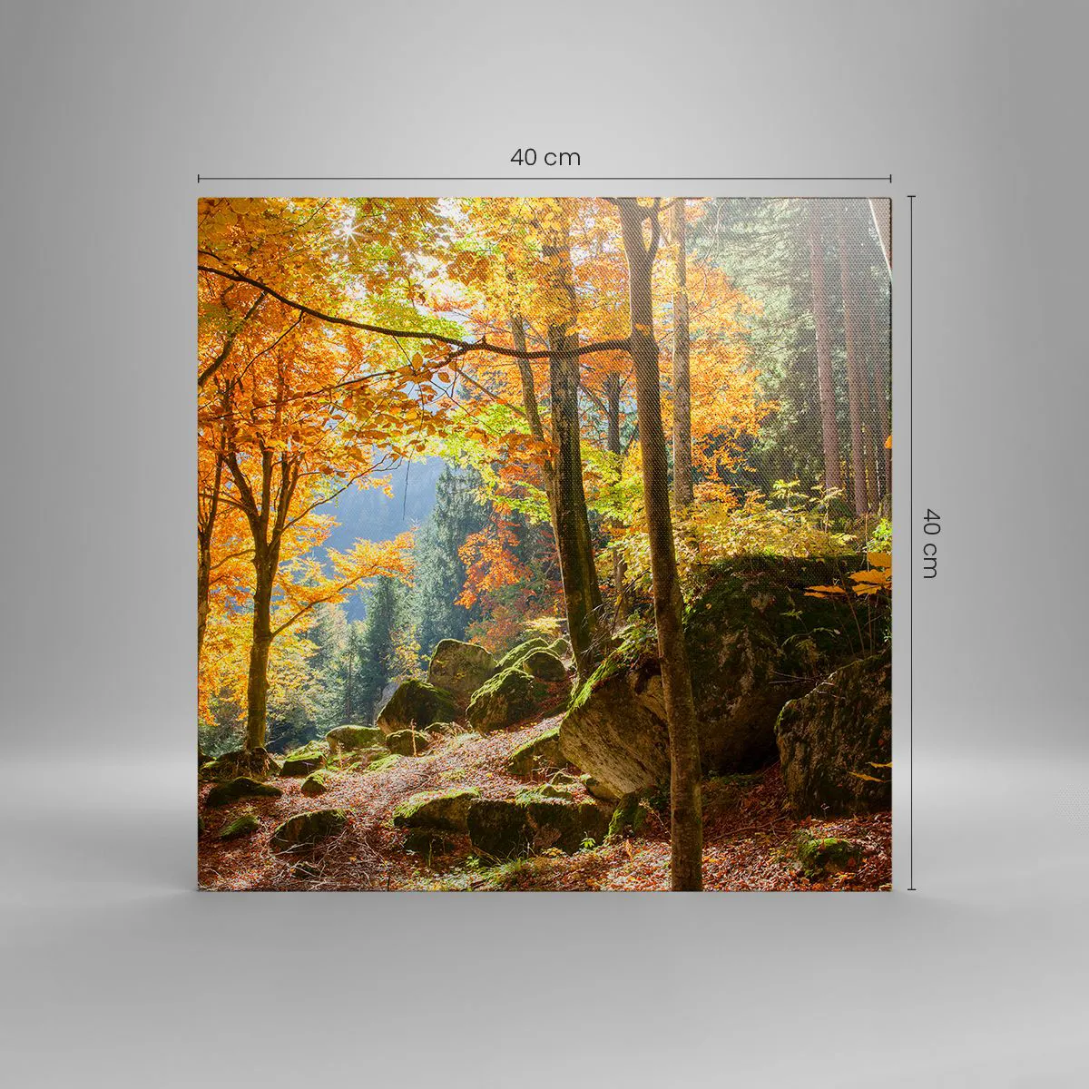 Obraz na plátně - Čas na odpočinek - 40x40 cm