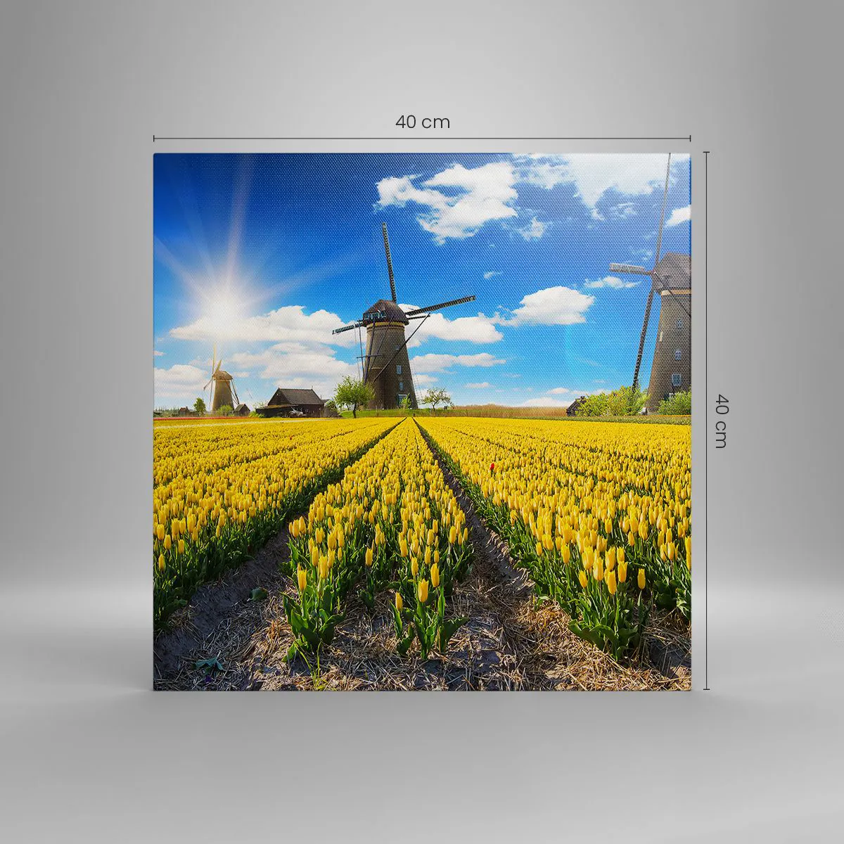 Vászonkép - Nem is lehetne hollandabb - 40x40 cm