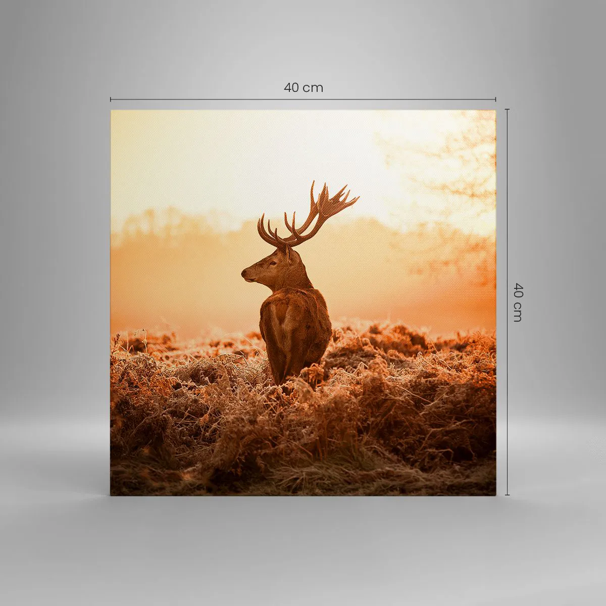 Quadro em tela - O senhor da propriedade - 40x40 cm