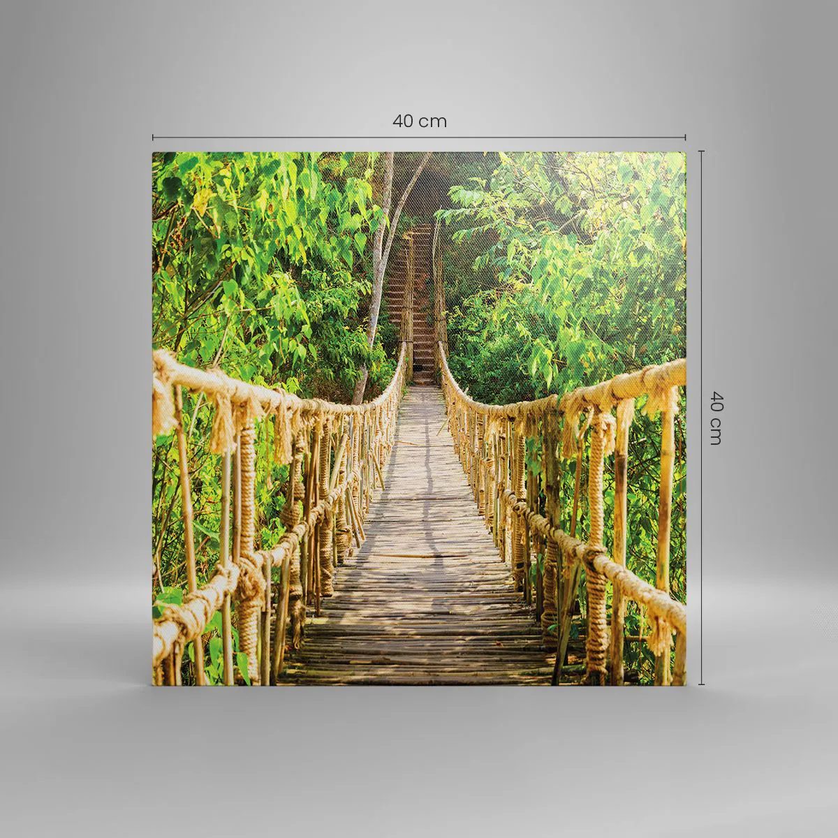 Impression sur toile - Image sur toile - Suspendu dans la nature - 40x40 cm