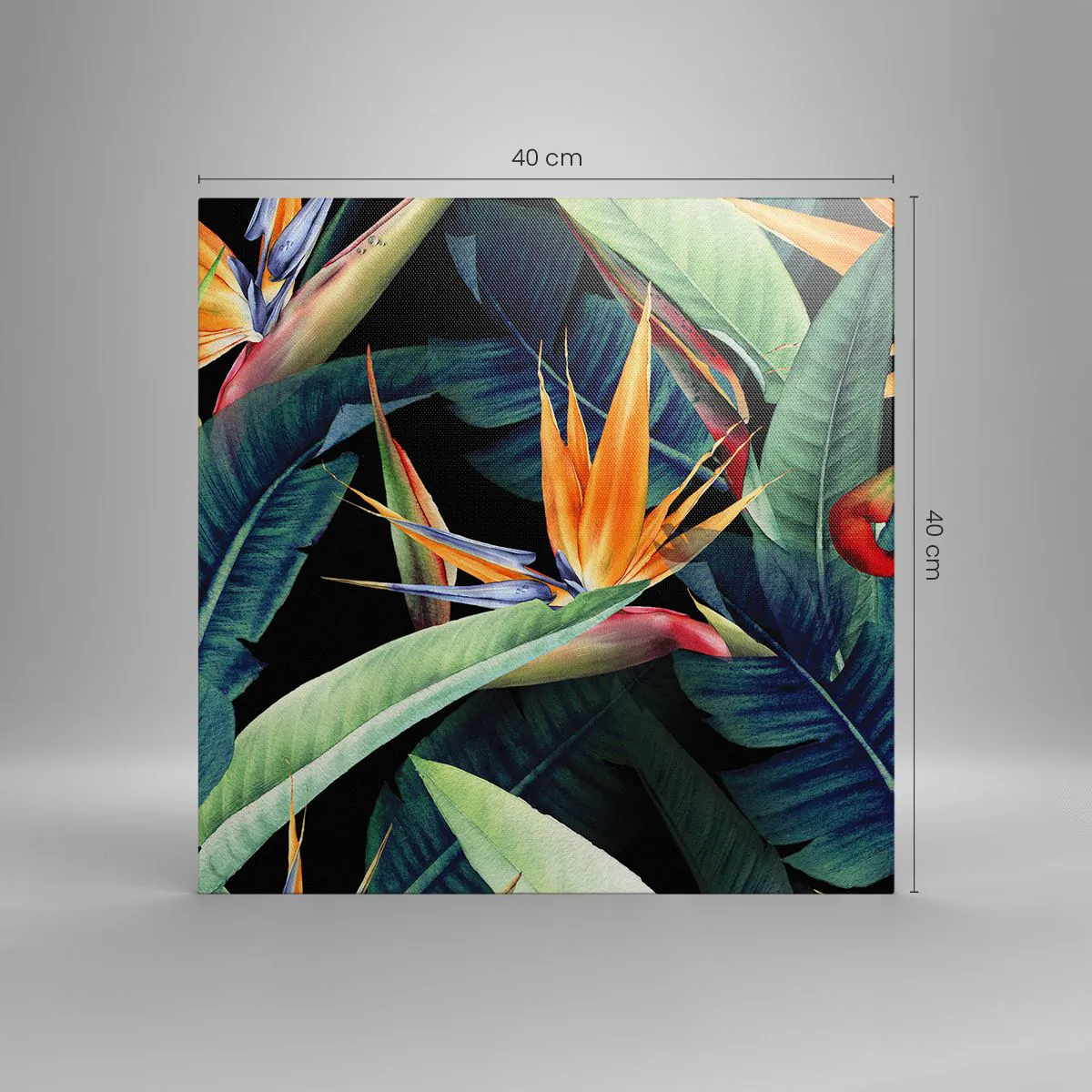 Obraz na płótnie - Płomienne kwiaty tropików - 40x40 cm
