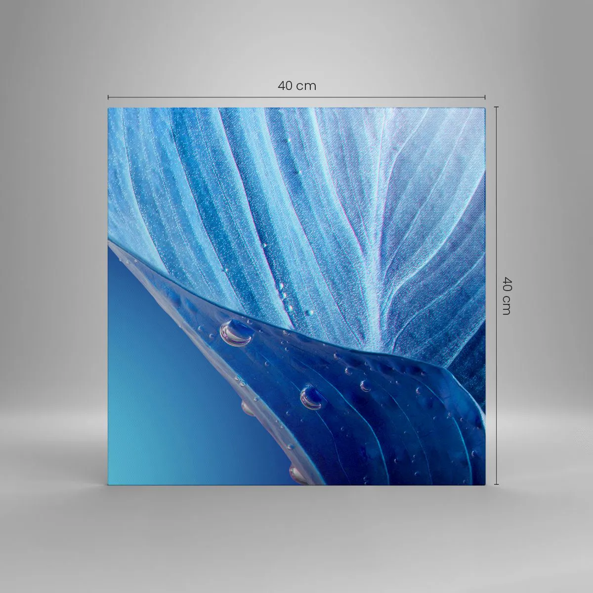 Impression sur toile - Image sur toile - Gouttes cachées du bleu - 40x40 cm