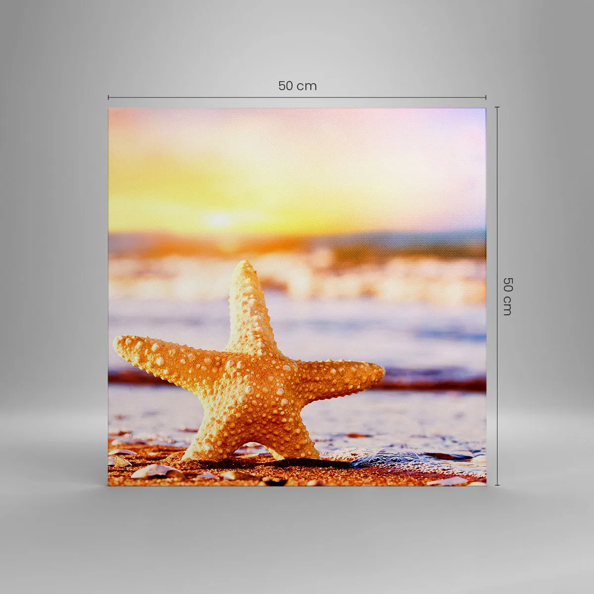 Vászonkép - Tengeri ajándék - 50x50 cm