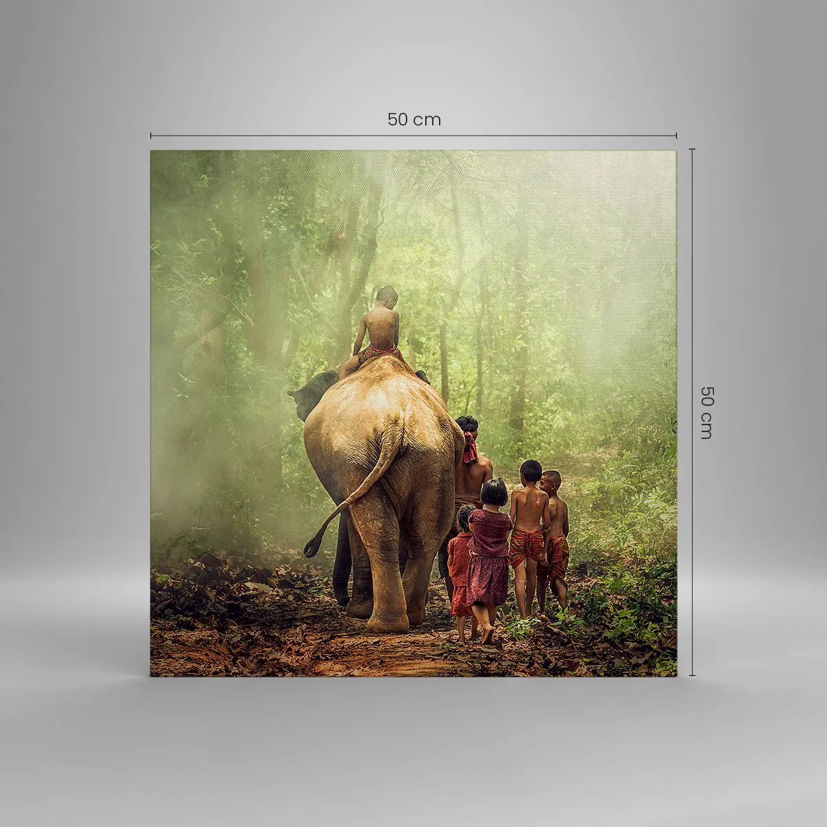 Obraz na płótnie - Nowa Księga Dżungli - 50x50 cm