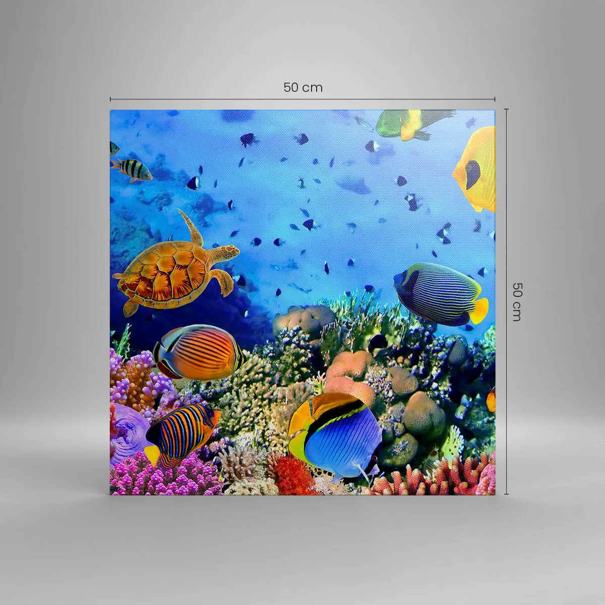 Vászonkép - És mit tudunk az életről... - 50x50 cm