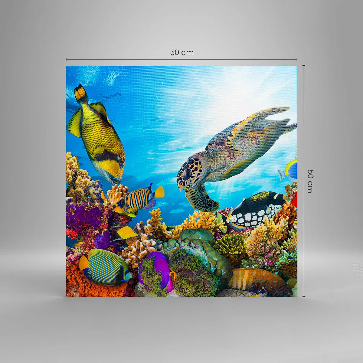 Impression sur toile - Image sur toile - Promenade de corail - 50x50 cm