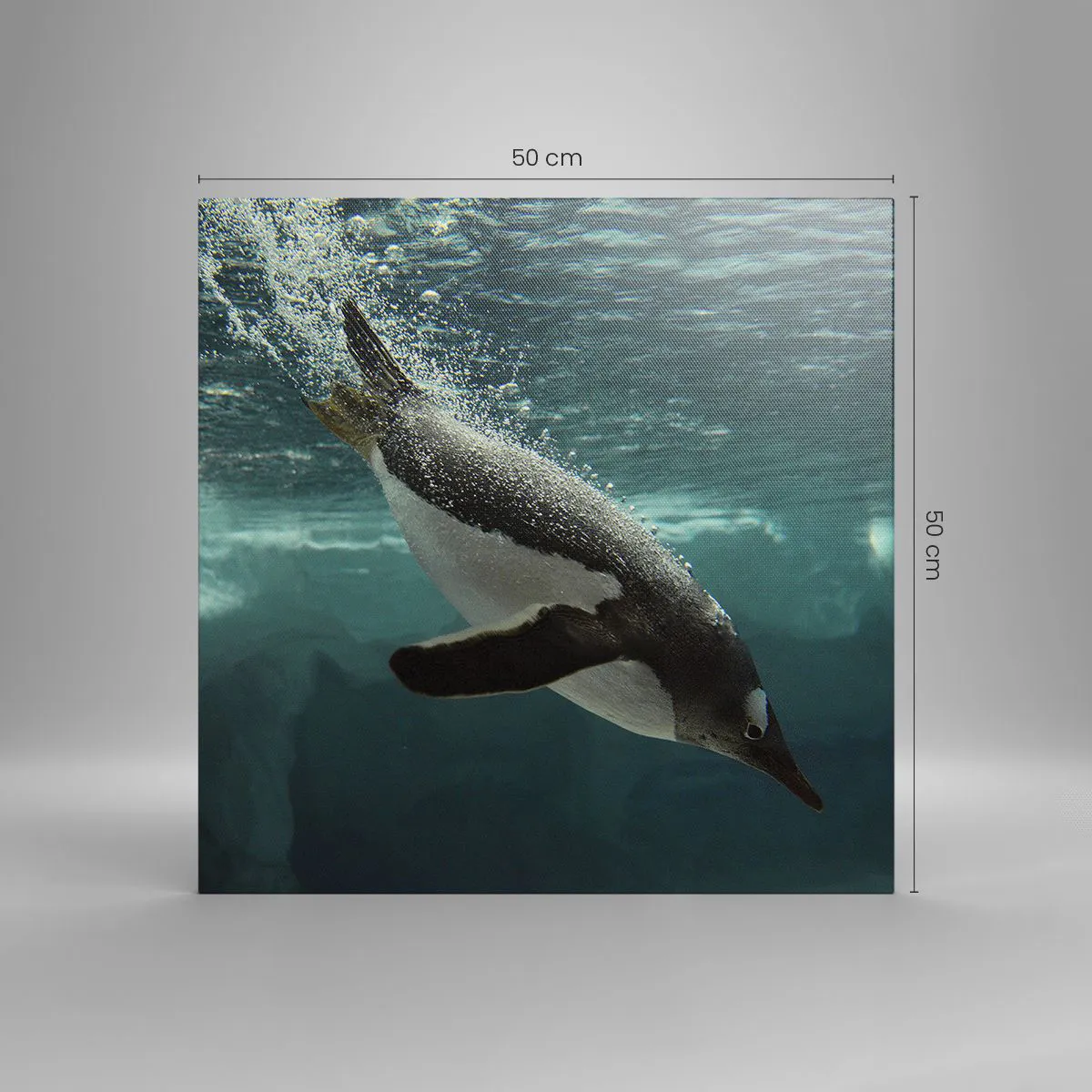 Impression sur toile - Image sur toile - Bienvenue dans mon monde - 50x50 cm