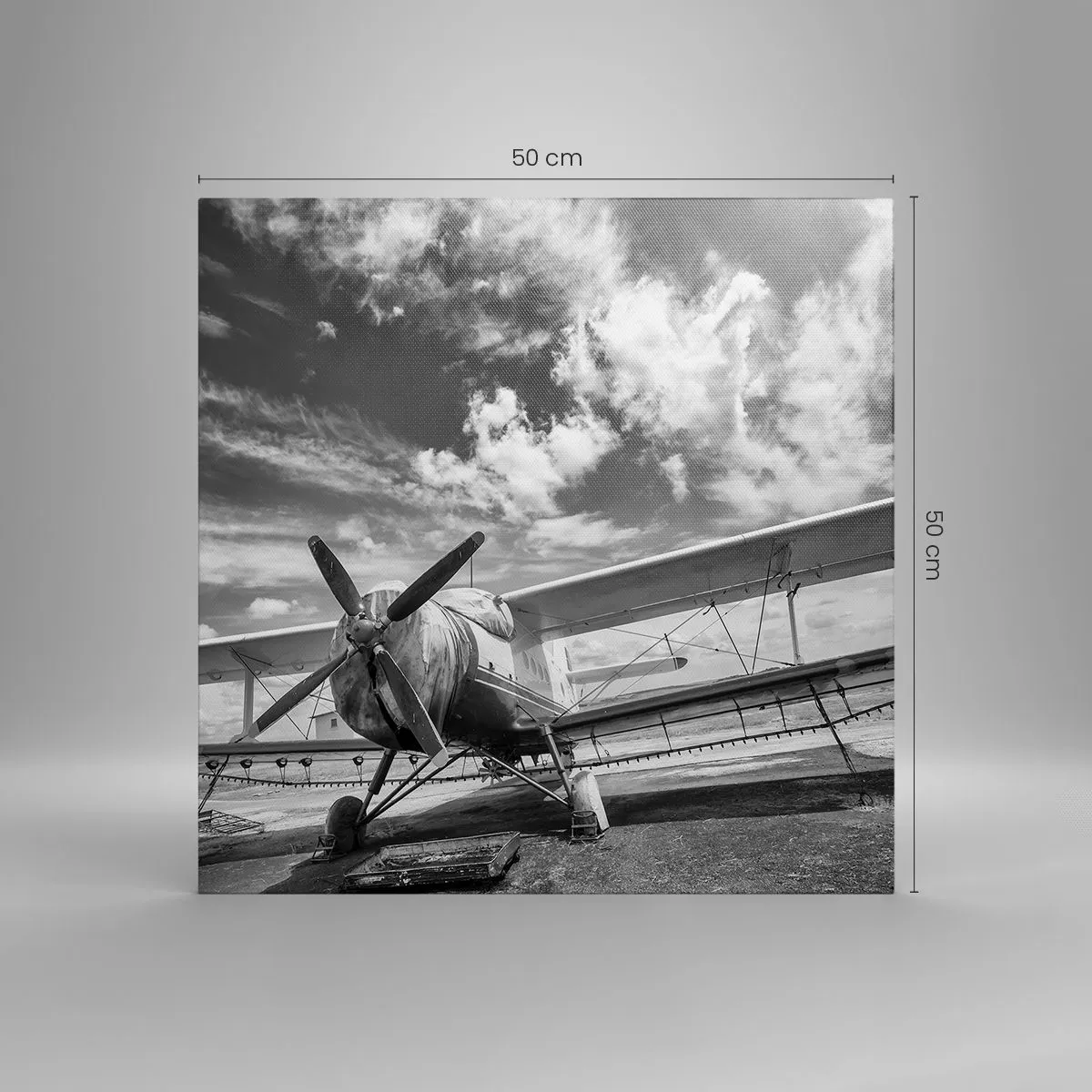 Impression sur toile - Image sur toile - Je suis impatient! - 50x50 cm