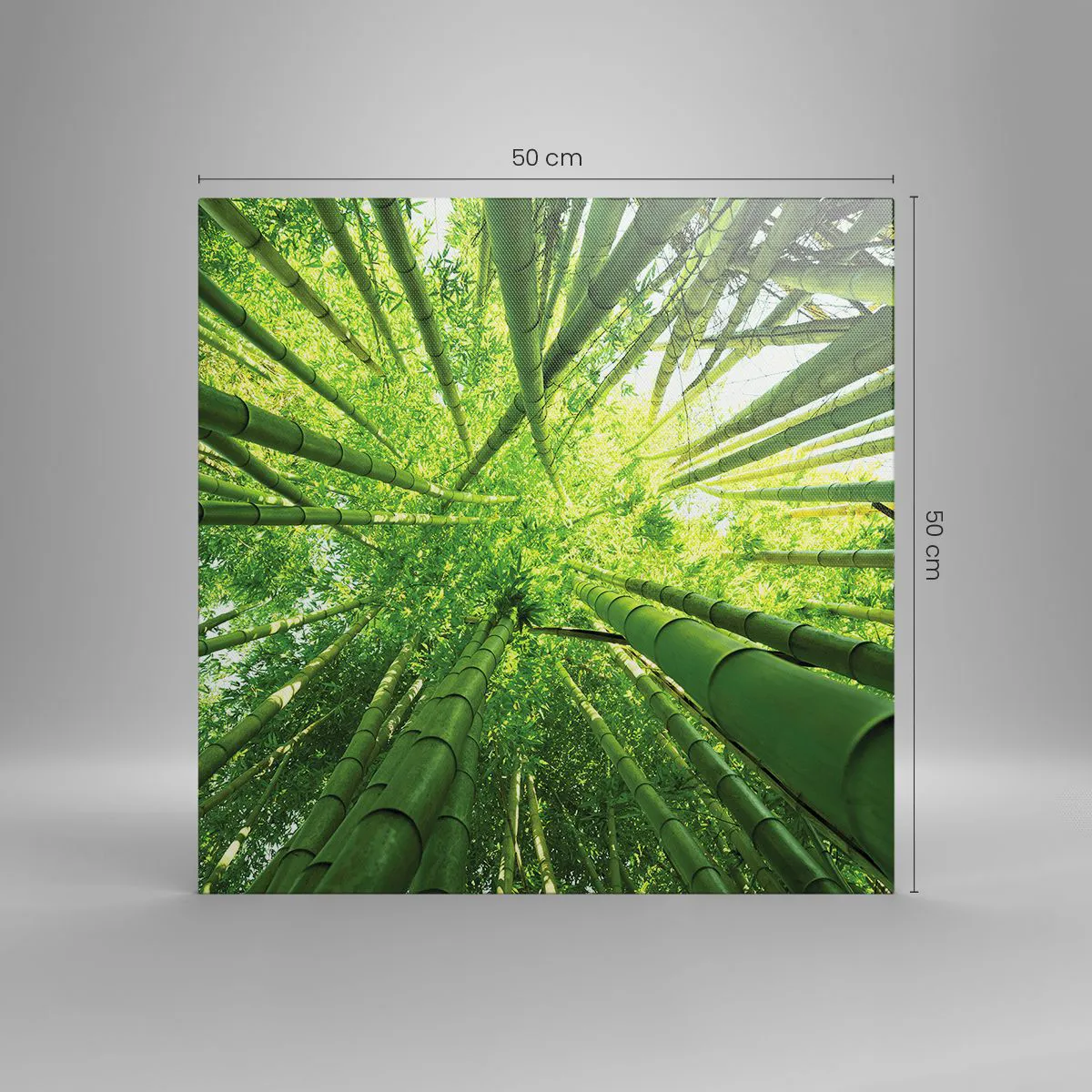 Tablou pe pânză - Într-o pădure de bambus - 50x50 cm