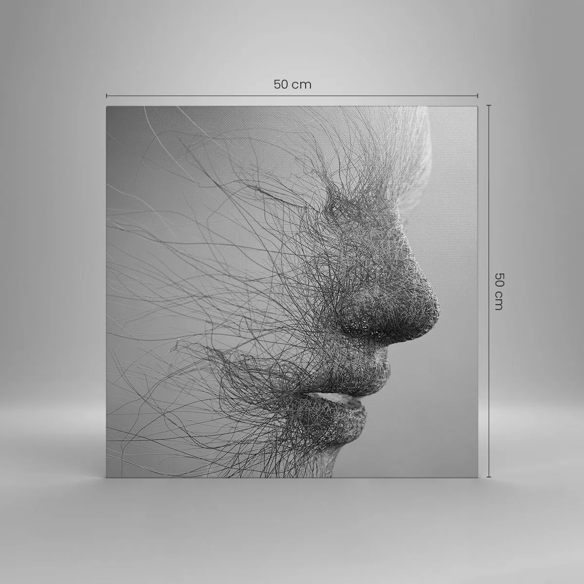 Bild auf Leinwand - Leinwandbild - Der Geist des Windes - 50x50 cm