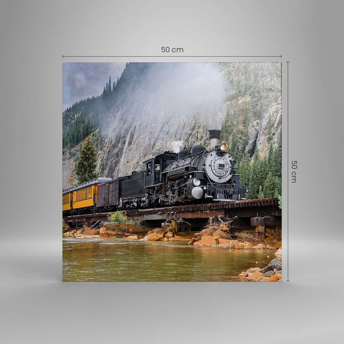 Vászonkép - Hova? Hova? - 50x50 cm