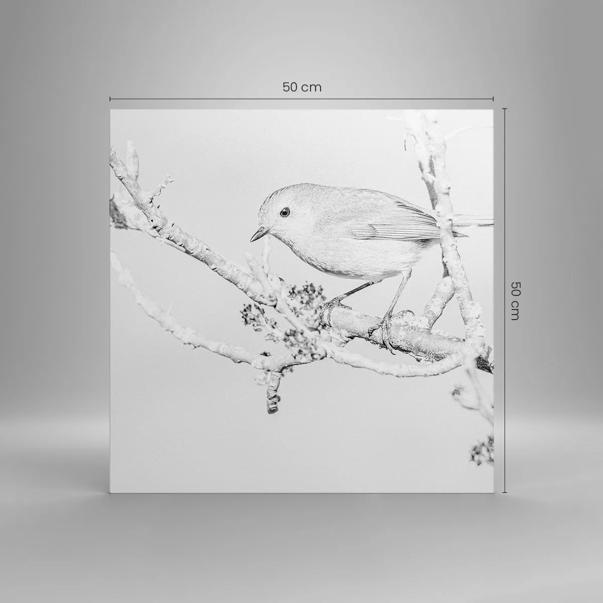 Obraz na plátne - Zimné ráno - 50x50 cm