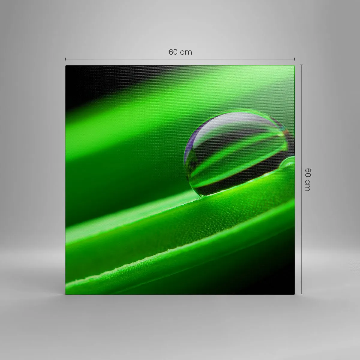 Bild auf Leinwand - Leinwandbild - Leben hautnah - 60x60 cm