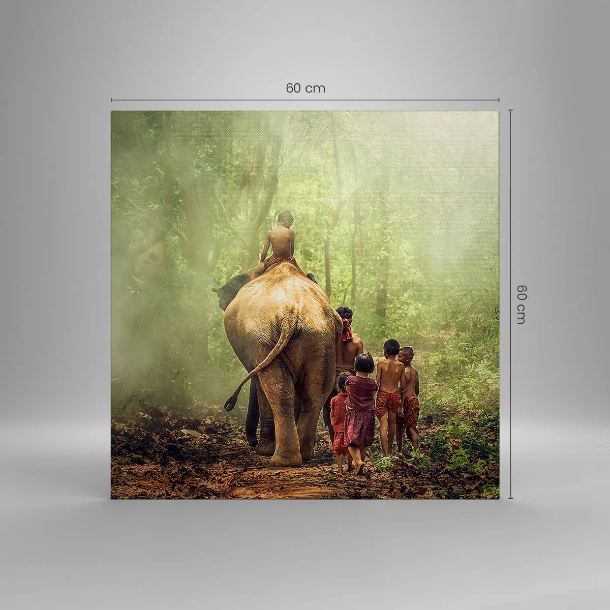 Bild auf Leinwand - Leinwandbild - Neues Dschungelbuch - 60x60 cm