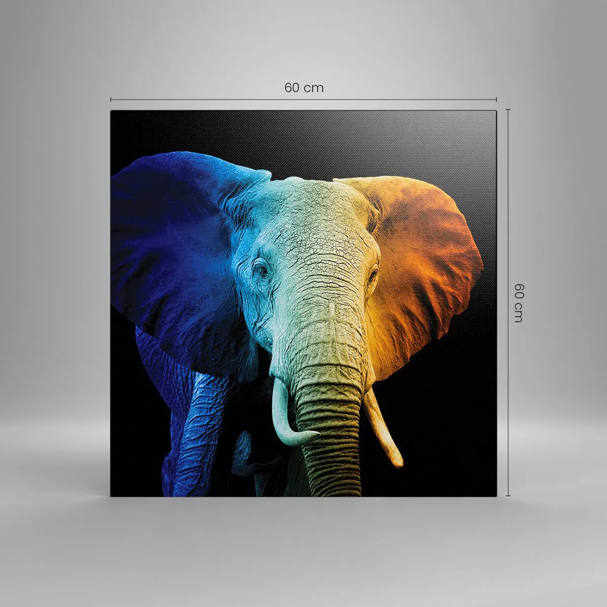 Vászonkép - Excentrikus, nem különc - 60x60 cm