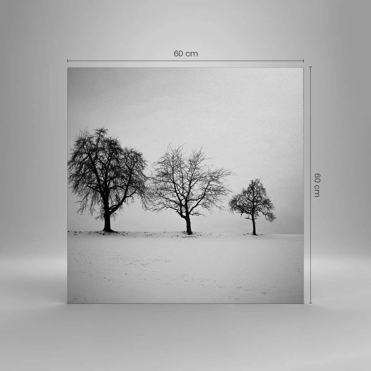 Obraz na plátne - O čom sníva? - 60x60 cm