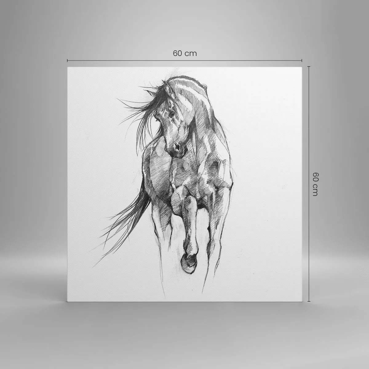 Obraz na płótnie - We wdzięcznym kłusie - 60x60 cm