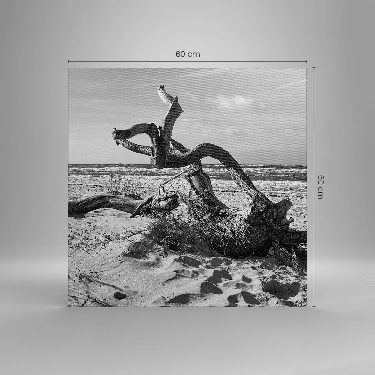 Cuadro sobre lienzo - Impresión de Imagen - Escultura marina - 60x60 cm