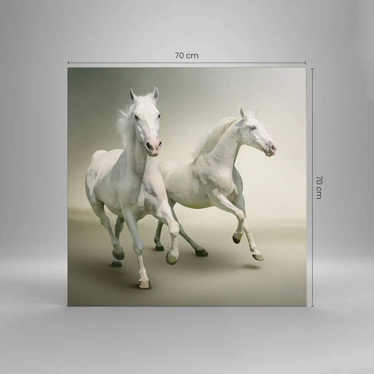 Cuadro sobre lienzo - Impresión de Imagen - ¡Poder blanco! - 70x70 cm