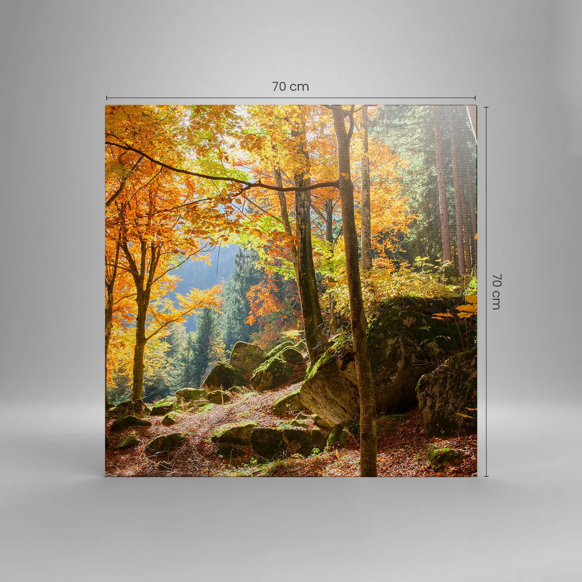 Obraz na plátne - Čas na odpočinok - 70x70 cm