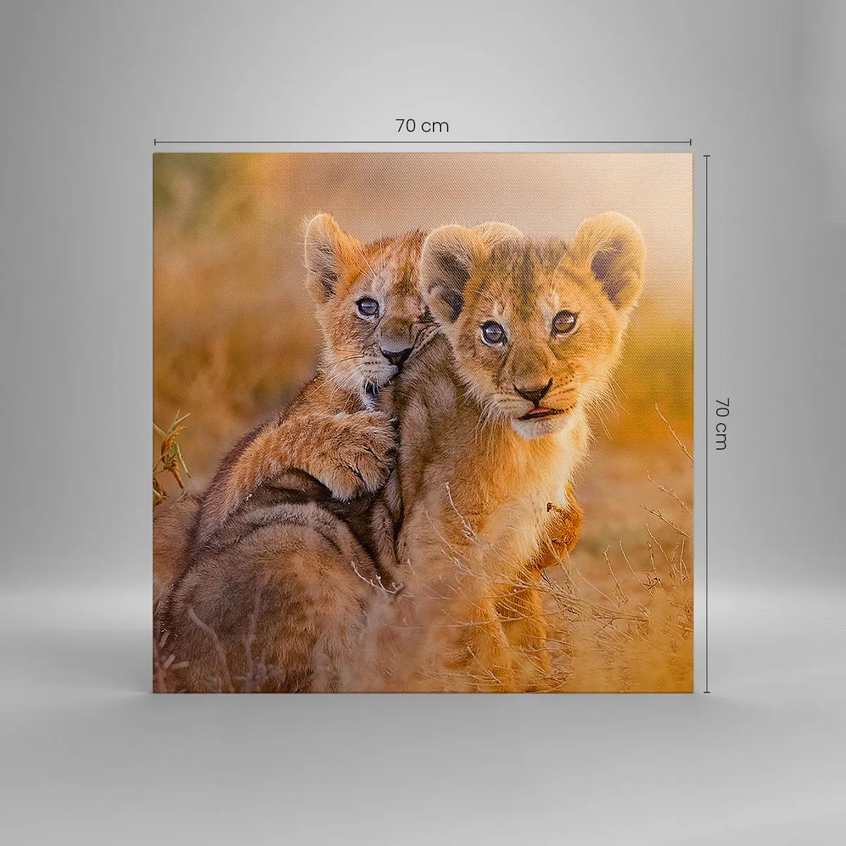 Impression sur toile - Image sur toile - Ne pas déranger! On s'amuse - 70x70 cm