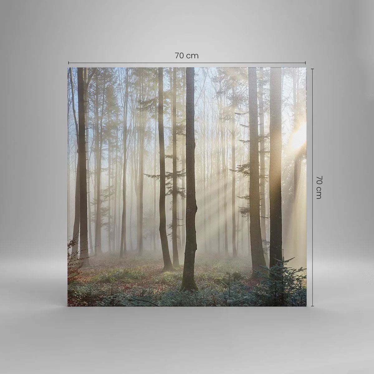 Obraz na plátně - Mlha se také vzbudila - 70x70 cm