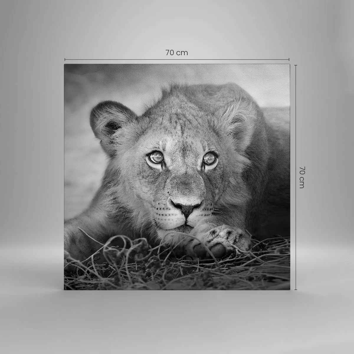 Impression sur toile - Image sur toile - Chiot royal - 70x70 cm