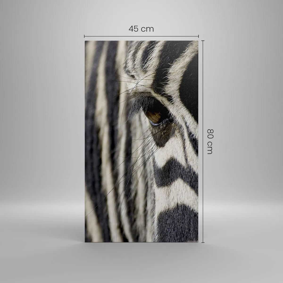 Impression sur toile - Image sur toile - Portrait en rayure - 45x80 cm