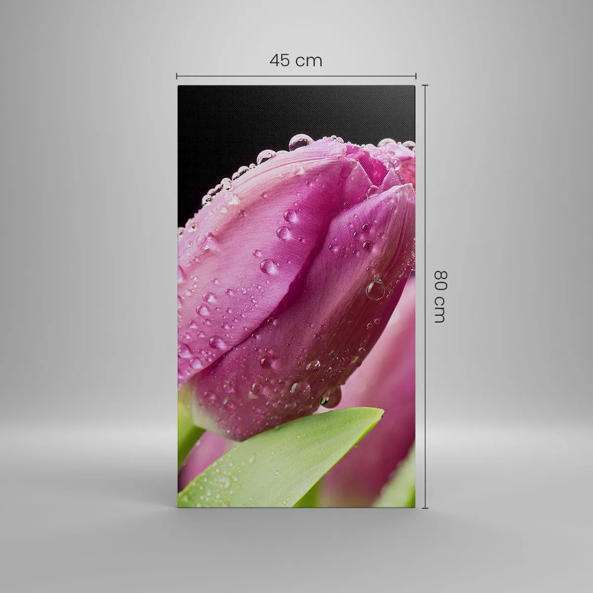 Cuadro sobre lienzo - Impresión de Imagen - Un sueño de lilas en el rocío - 45x80 cm