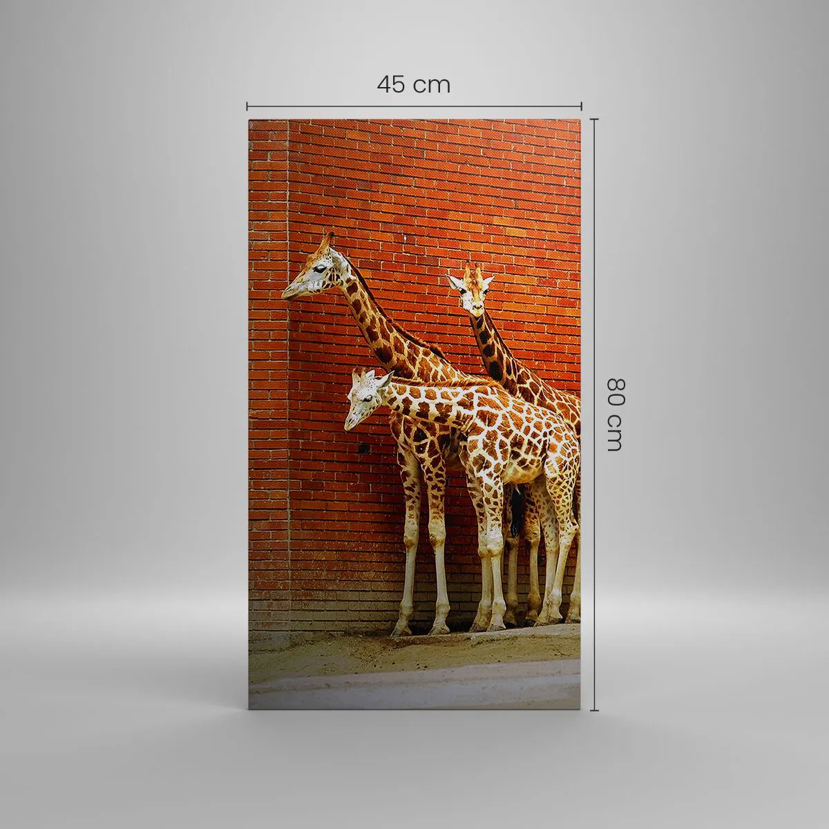 Vászonkép - Láttok akácot? - 45x80 cm