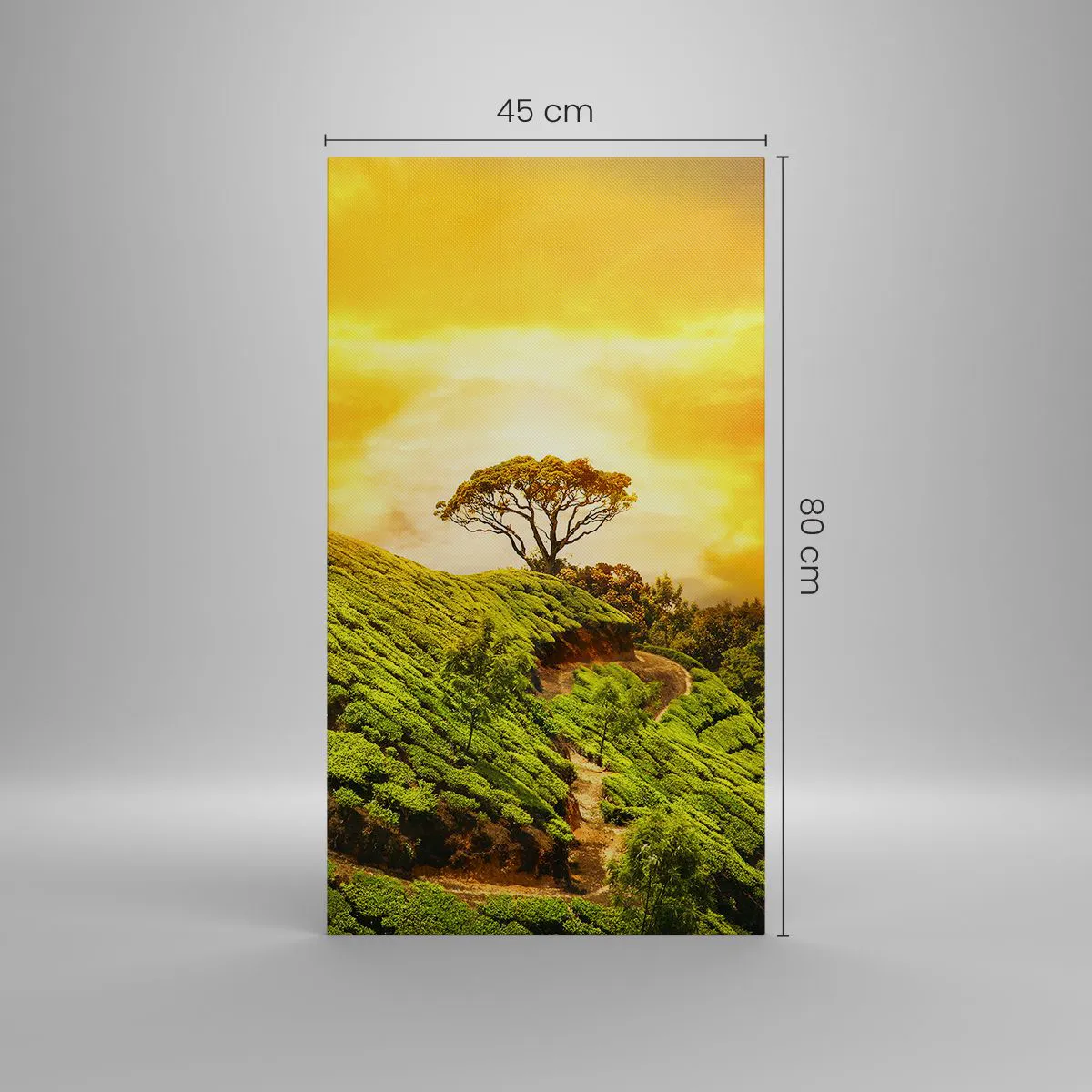 Schilderen op canvas - Een kronkelend pad, een groene helling - 45x80 cm