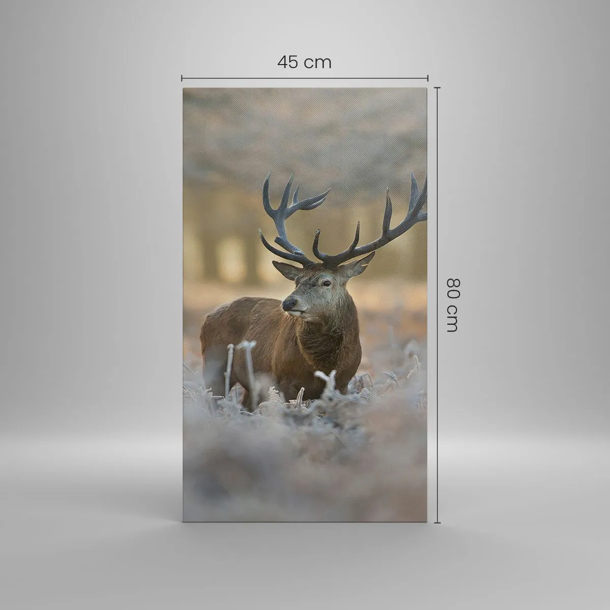 Impression sur toile - Image sur toile - Une matinée animée - 45x80 cm