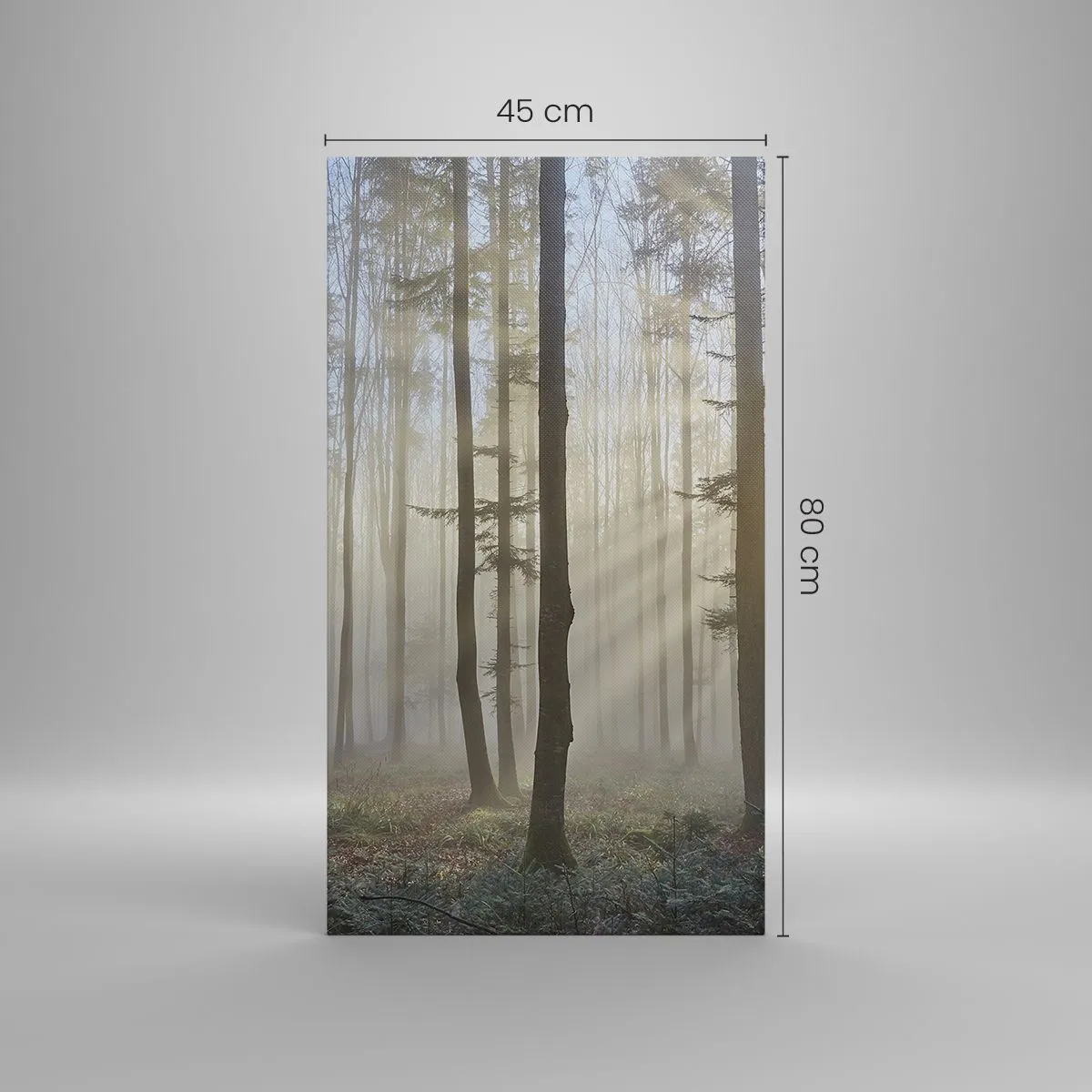 Impression sur toile - Image sur toile - Le brouillard s'est aussi réveillé - 45x80 cm